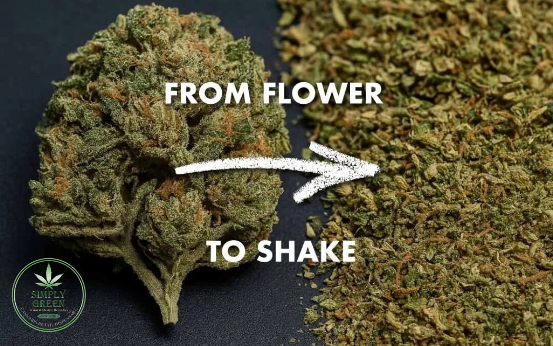 What Is Shake Trim? A Beginner's Guide to Budget Cannabis
